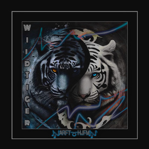 欧美肥少妇和中美少妇肛门和BB
